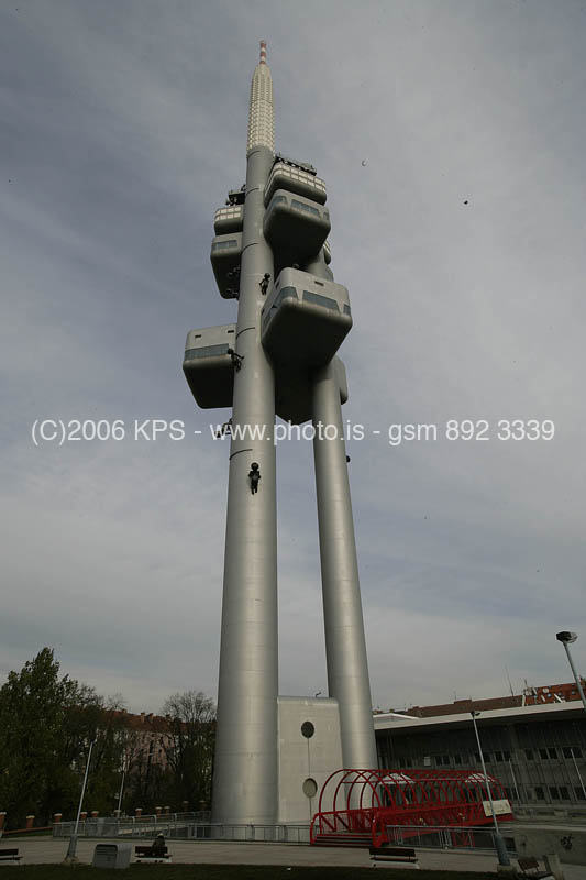 kps11060493
