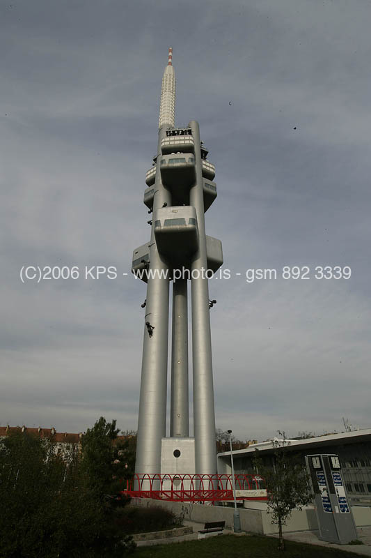 kps11060494