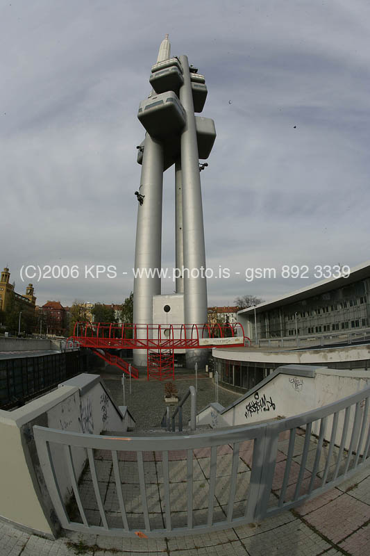 kps11060495