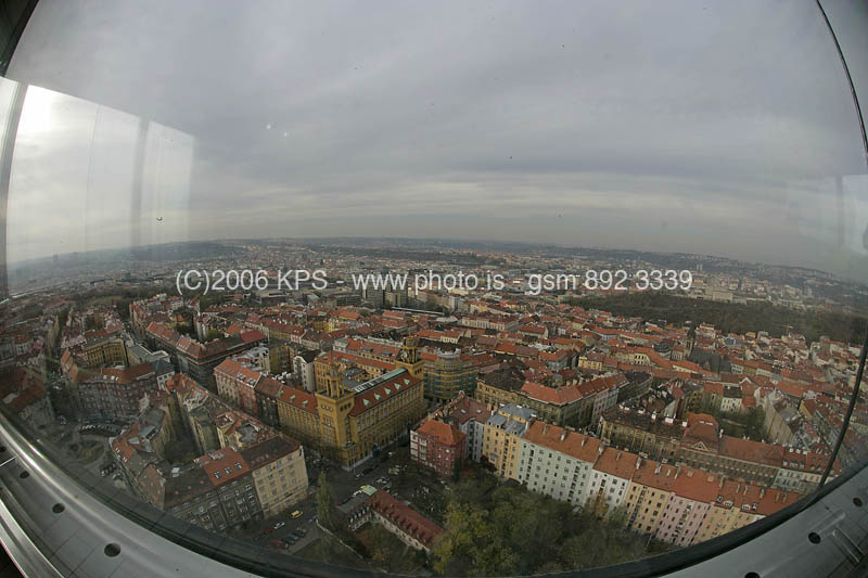 kps11060498