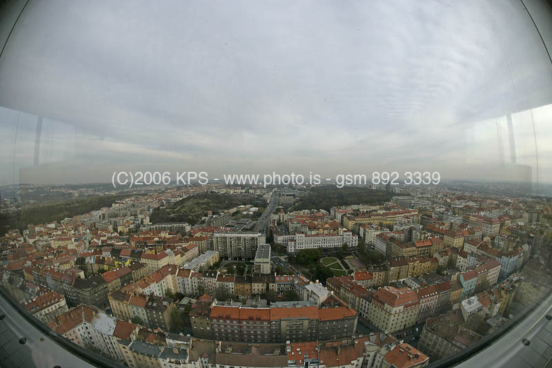 kps11060502