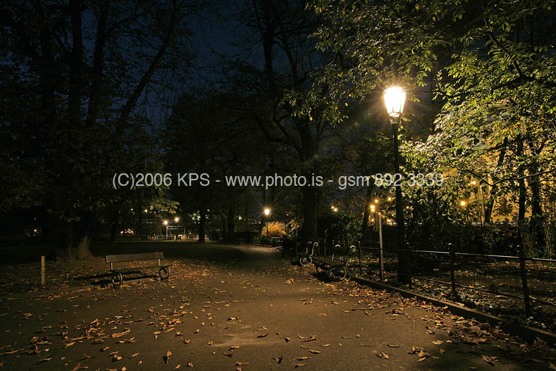 kps11060563