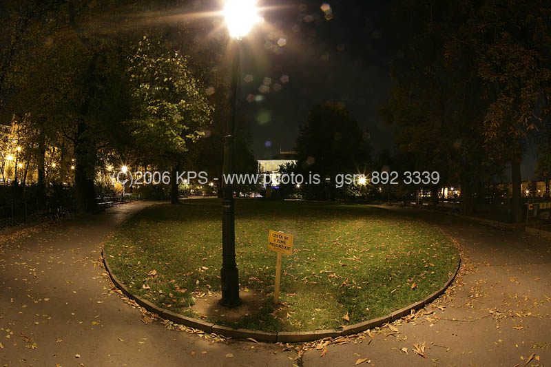 kps11060574