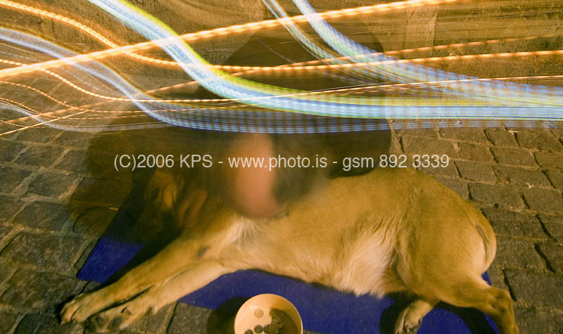 kps11060642