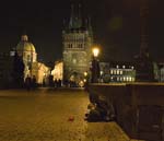 kps11060635