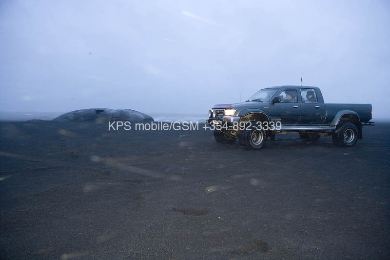 kps12060072