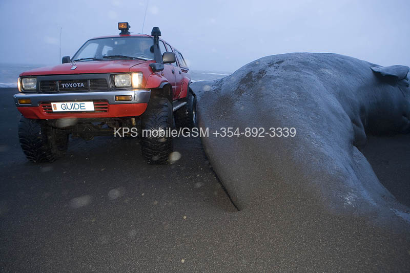 kps12060083