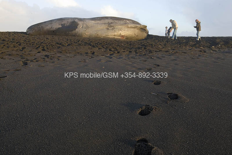 kps01070061