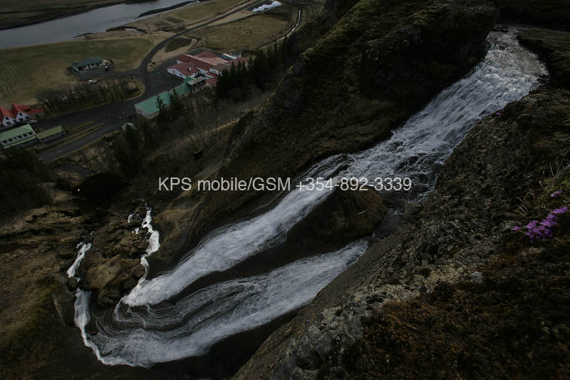 kps04070537