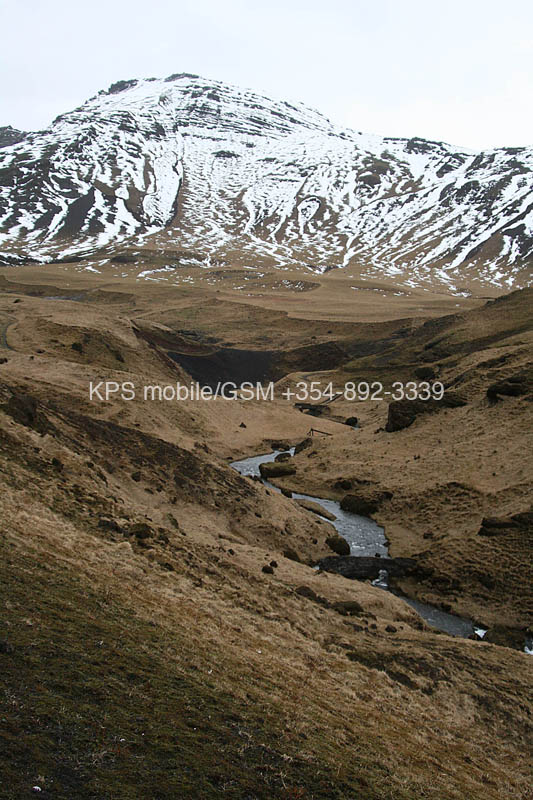 xheng04070639