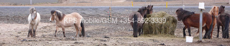kps04070752
