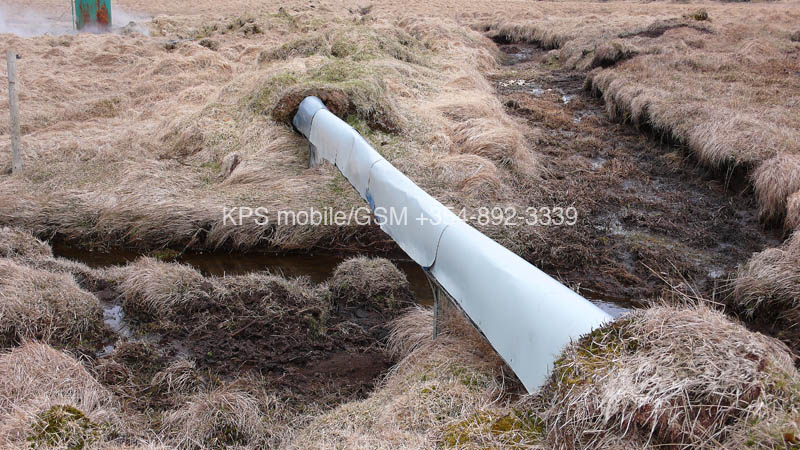 kps04070754