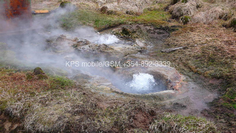 kps04070755