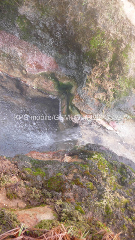 kps04070764
