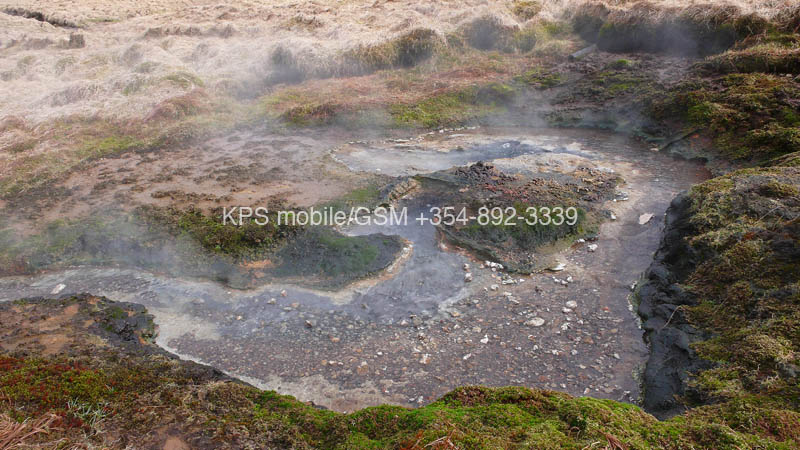 kps04070768