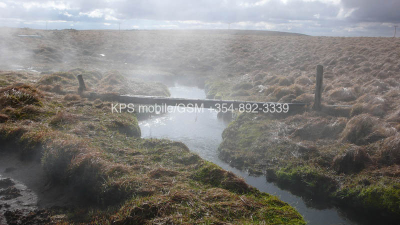 kps04070769
