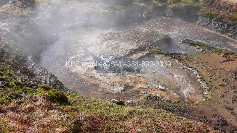 kps04070772