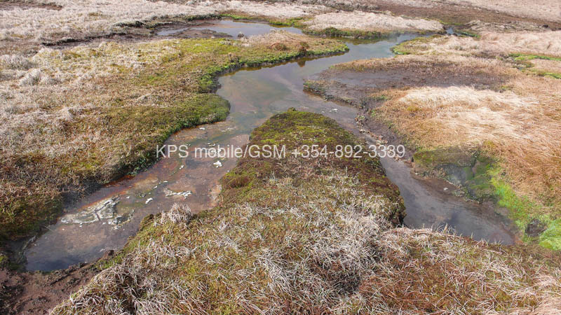 kps04070773