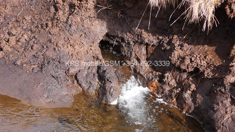 kps04070782