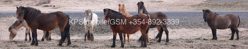 kps04070786p