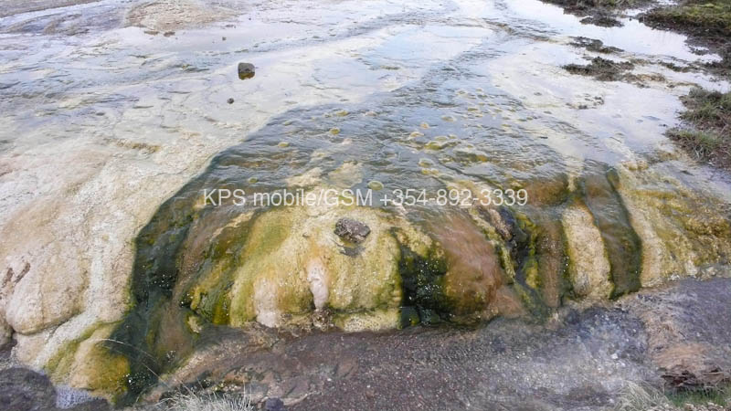 kps04070966