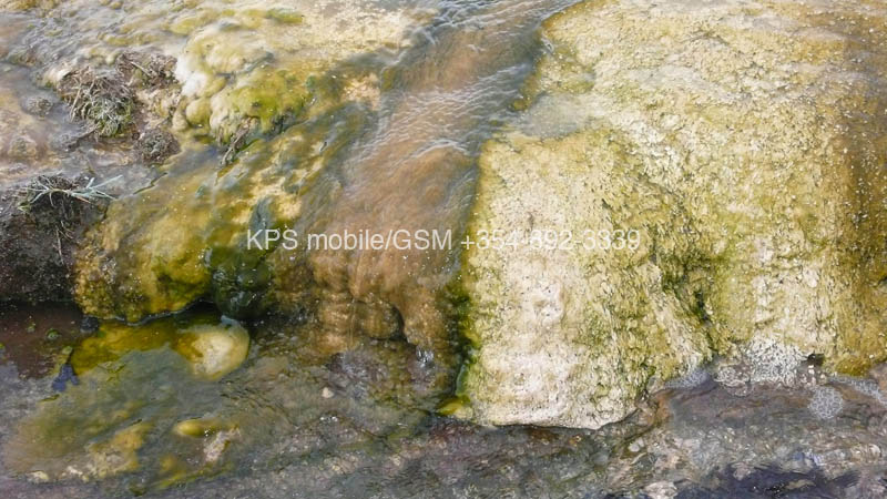 kps04070970