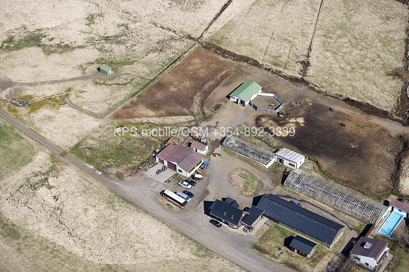 kps04070986