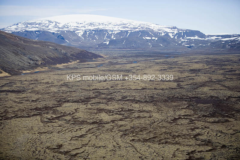 kps04071098