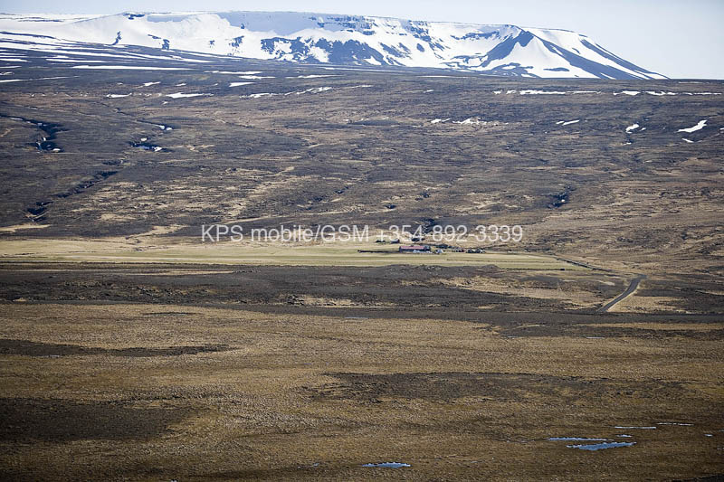 kps04071140