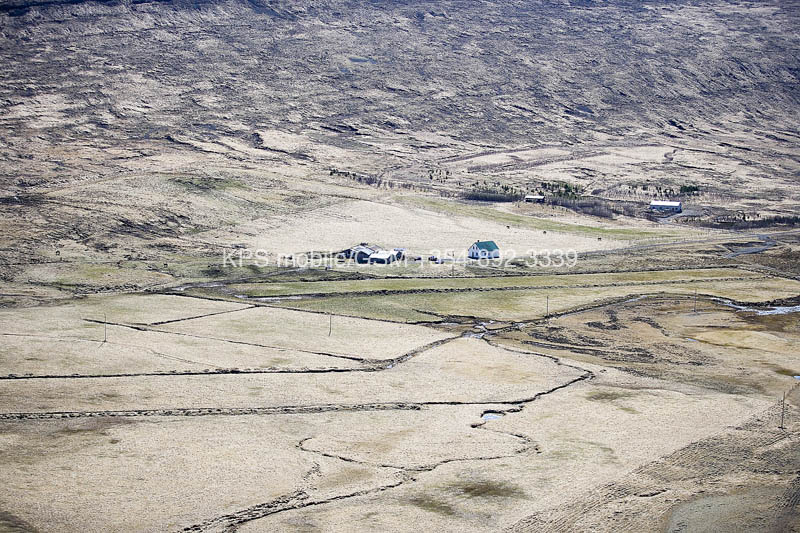 kps04071155