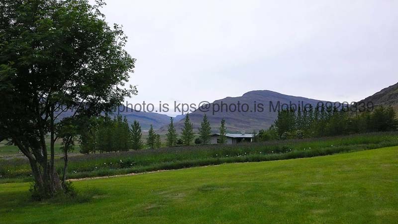 kps06071376