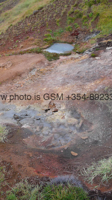 kps08071318