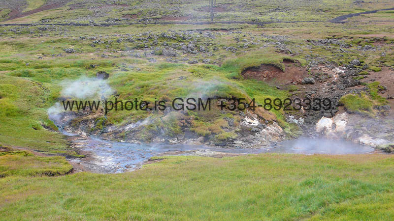 kps08071384