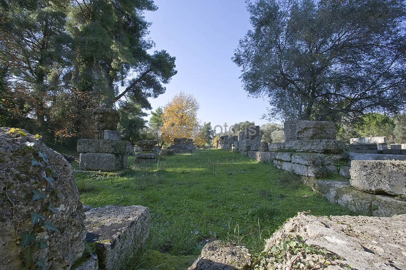 kps12071076