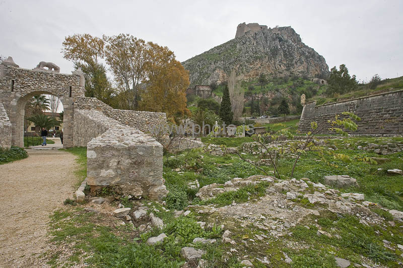 kps12071382