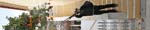 kps12071894p