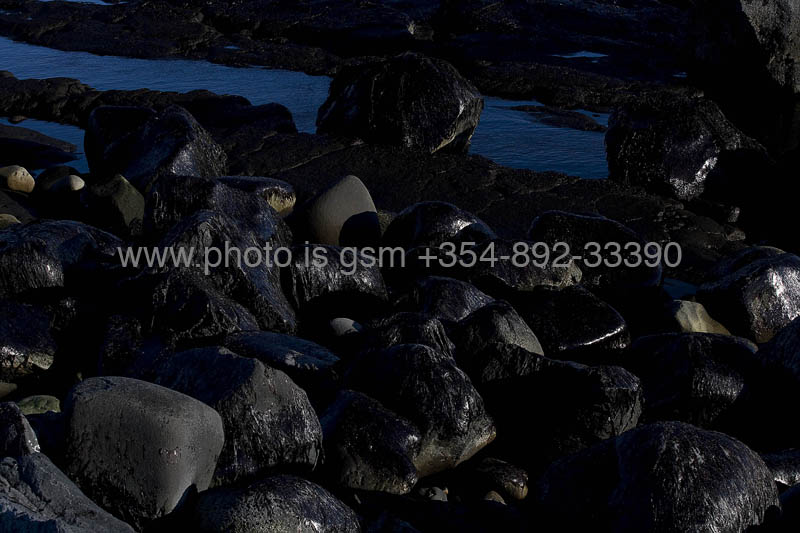 kps03082224