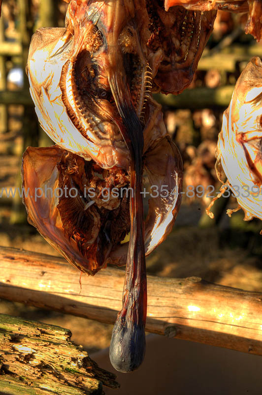 kps03082247hdr