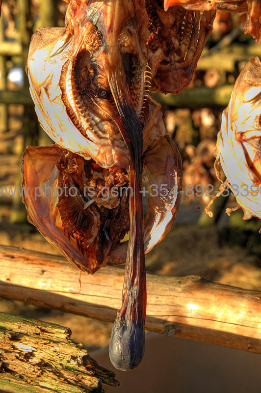 kps03082247hdr1