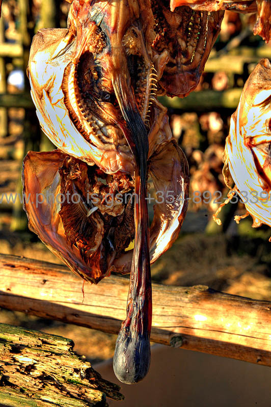 kps03082247hdr2
