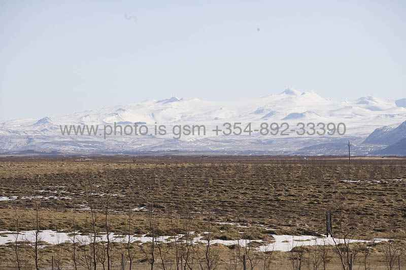 kps04080009