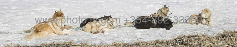 kps04080046P