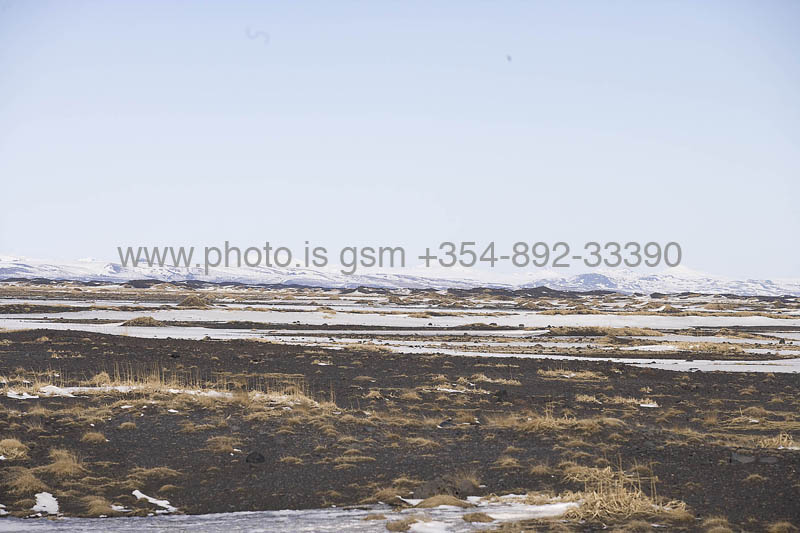 kps04080084