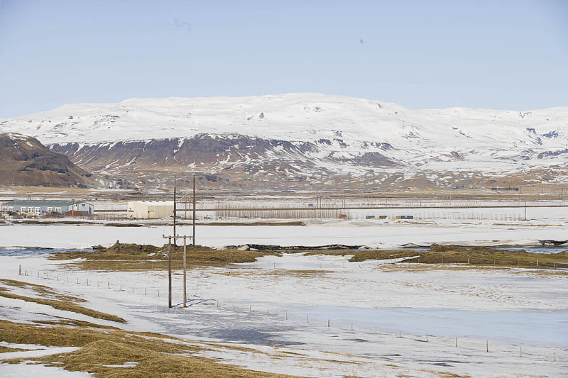 kps04080094