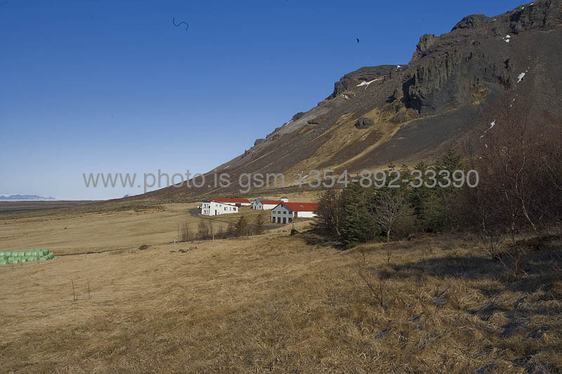 kps04080317