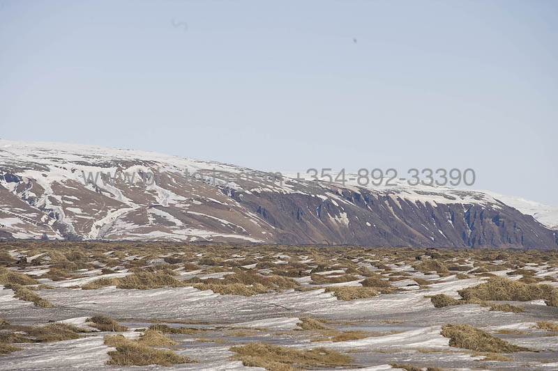 kps04080419