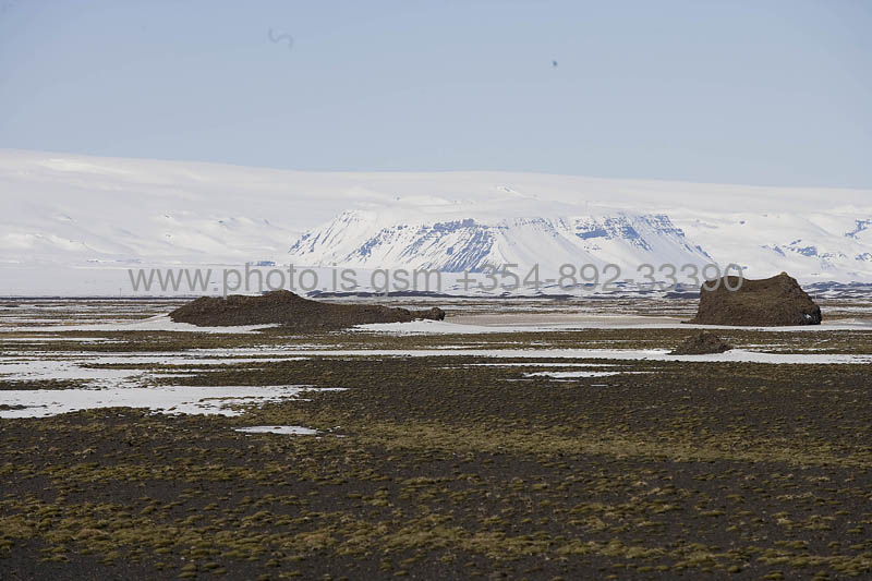 kps04080439