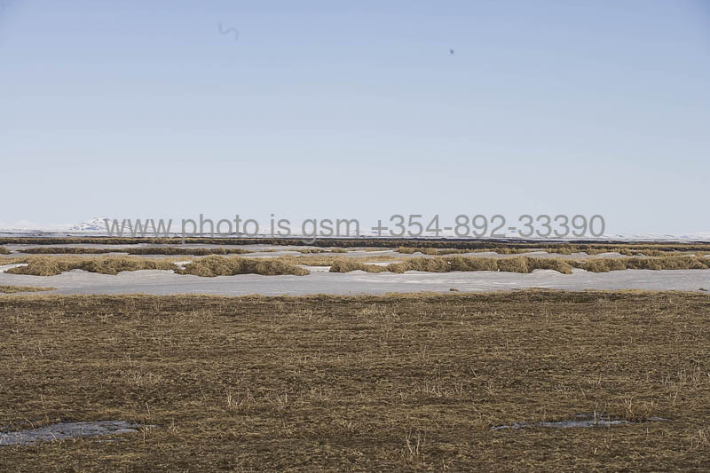 kps04080465