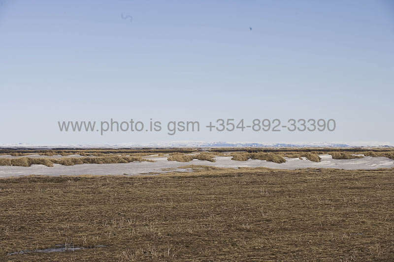 kps04080466