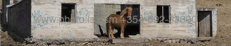 kps04080499p